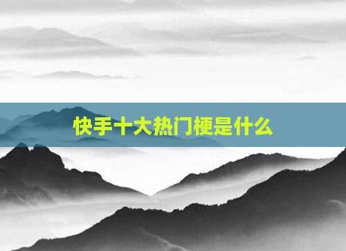 快手十大热门梗是什么