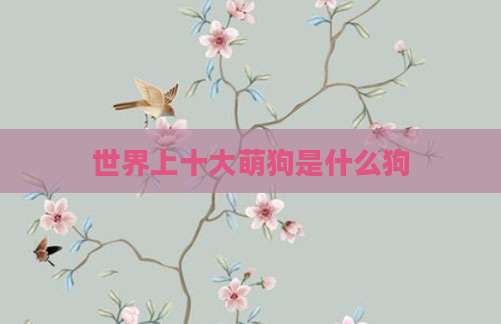 世界上十大萌狗是什么狗