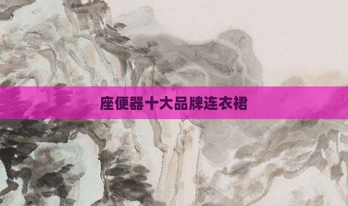 座便器十大品牌连衣裙