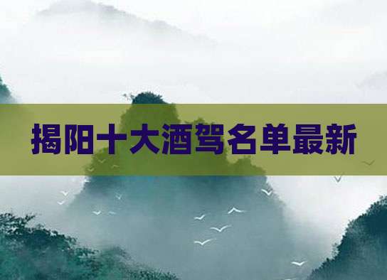 揭阳十大酒驾名单最新