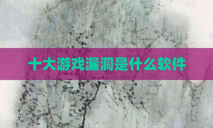 十大游戏漏洞是什么软件