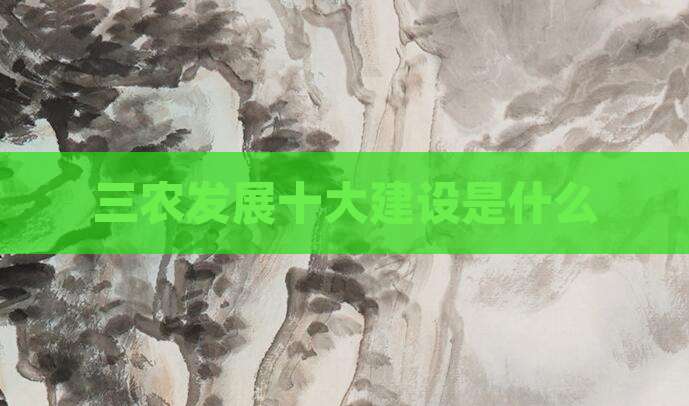 三农发展十大建设是什么