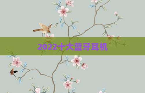 2022十大蓝牙耳机