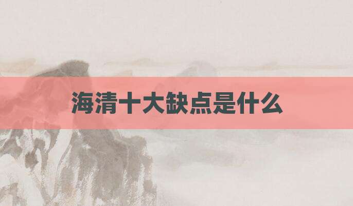 海清十大缺点是什么