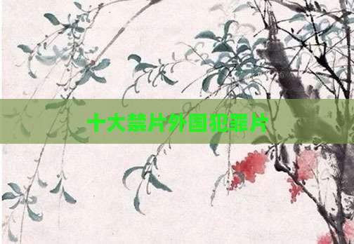 十大禁片外国犯罪片