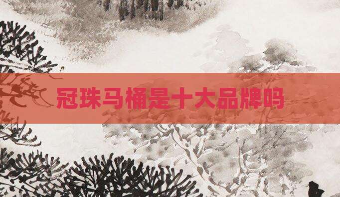 冠珠马桶是十大品牌吗