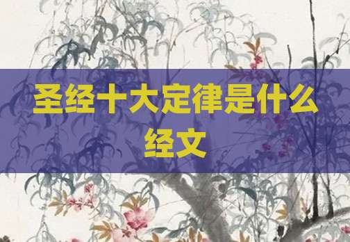 圣经十大定律是什么经文