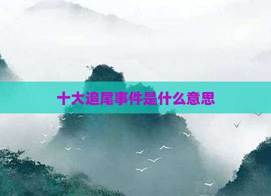 十大追尾事件是什么意思