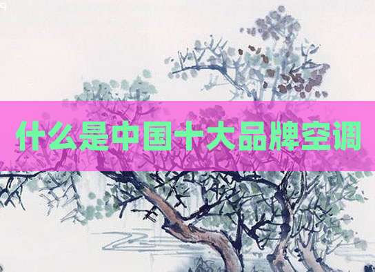 什么是中国十大品牌空调