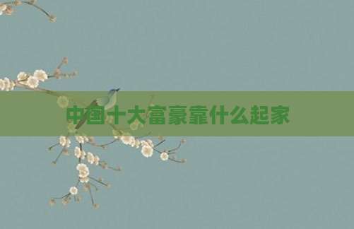 中国十大富豪靠什么起家