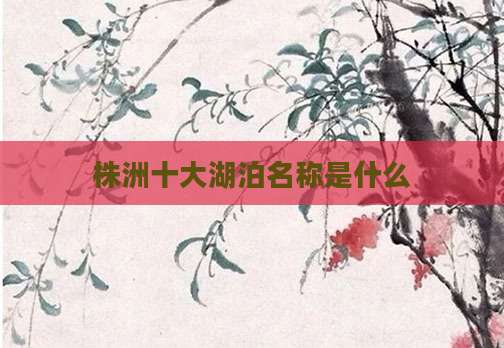 株洲十大湖泊名称是什么