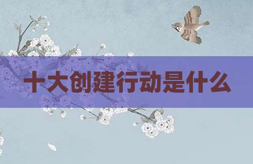 十大创建行动是什么