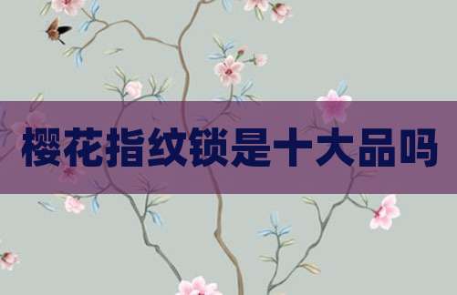 樱花指纹锁是十大品吗