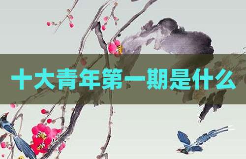 十大青年第一期是什么