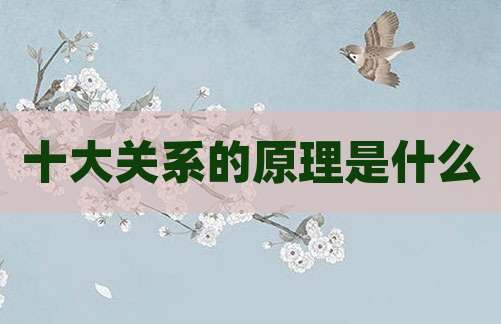 十大关系的原理是什么