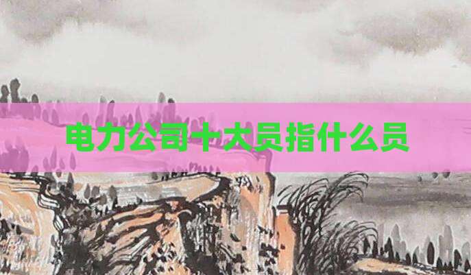 电力公司十大员指什么员