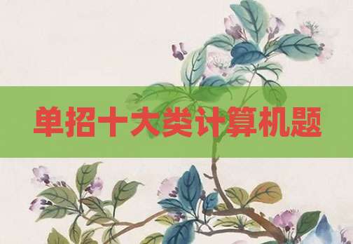 单招十大类计算机题