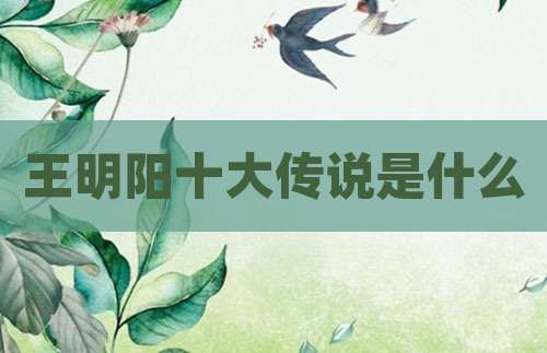 王明阳十大传说是什么