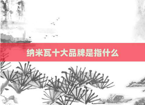 纳米瓦十大品牌是指什么