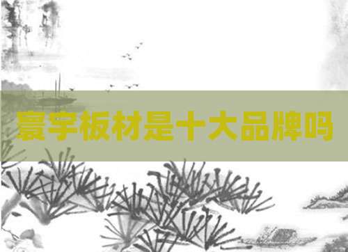 寰宇板材是十大品牌吗