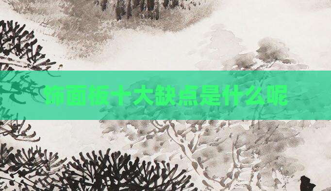 饰面板十大缺点是什么呢