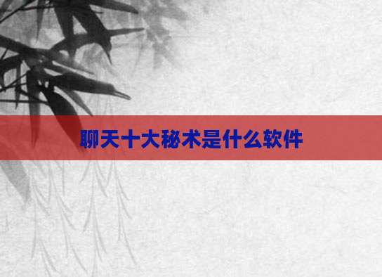 聊天十大秘术是什么软件