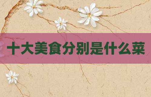 十大美食分别是什么菜