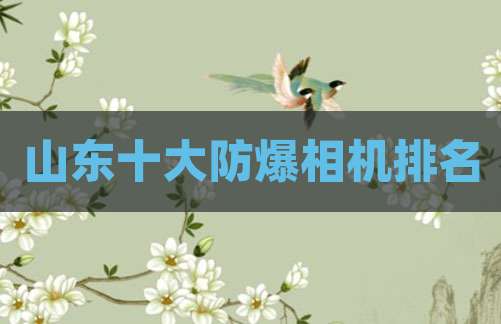 山东十大防爆相机排名