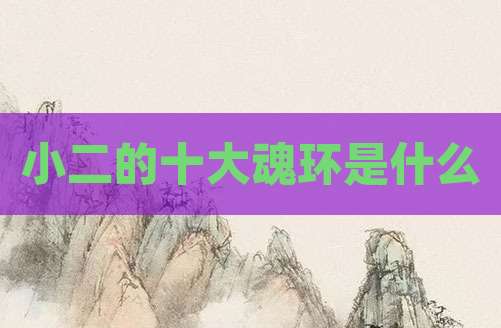 小二的十大魂环是什么