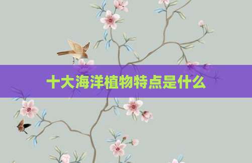 十大海洋植物特点是什么