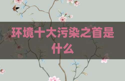 环境十大污染之首是什么