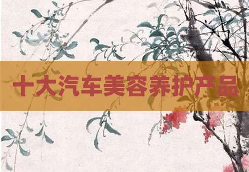 十大汽车美容养护产品