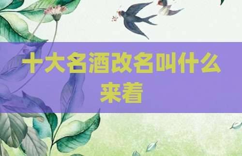 十大名酒改名叫什么来着
