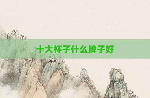 十大杯子什么牌子好