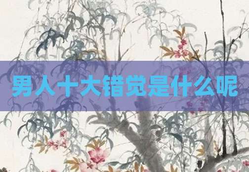 男人十大错觉是什么呢