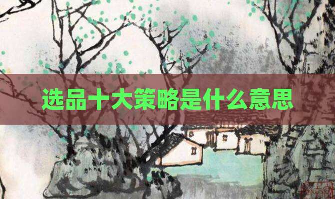 选品十大策略是什么意思