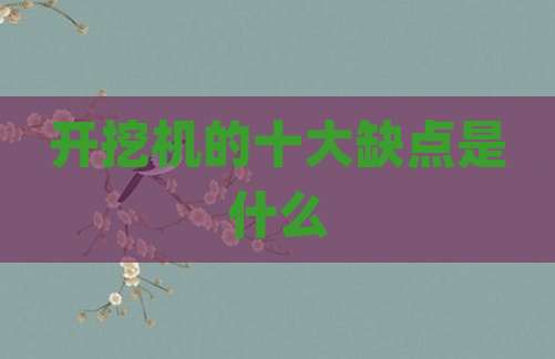 开挖机的十大缺点是什么