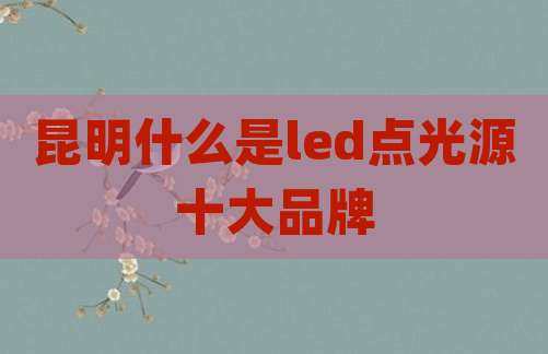 昆明什么是led点光源十大品牌