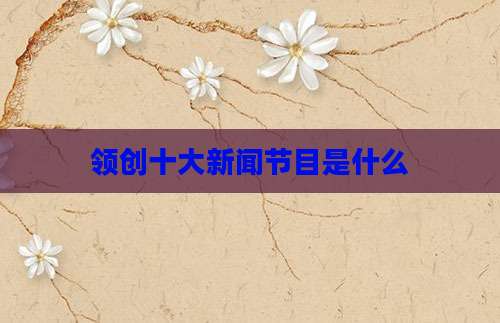 领创十大新闻节目是什么