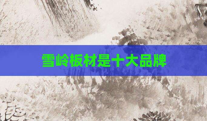 雪岭板材是十大品牌