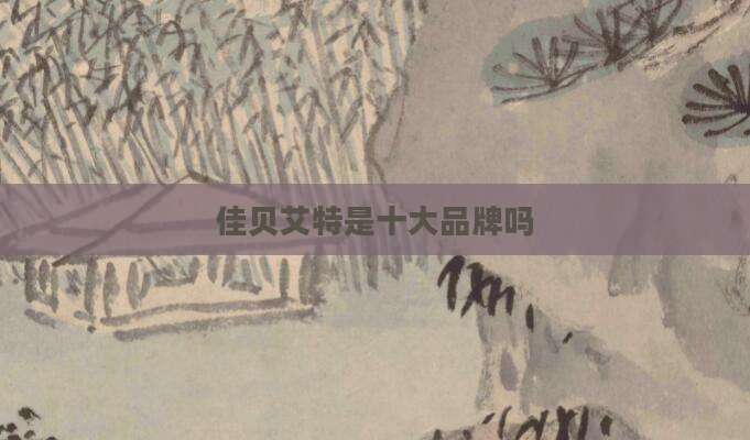 佳贝艾特是十大品牌吗