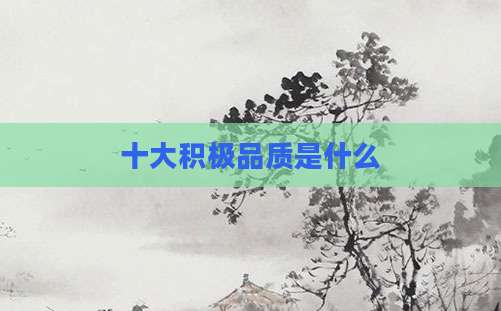 十大积极品质是什么