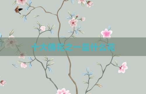 十大佛花之一是什么花