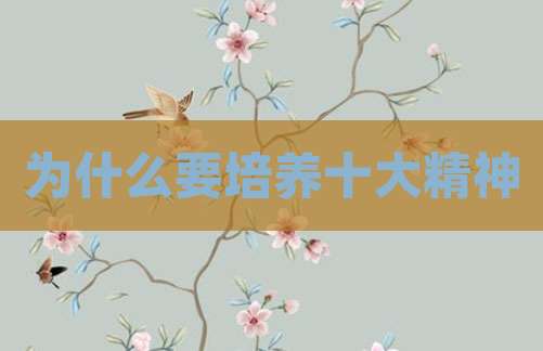 为什么要培养十大精神