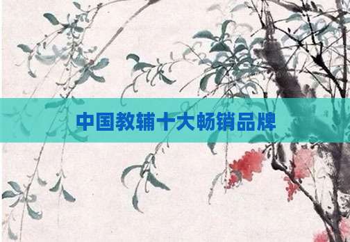 中国教辅十大畅销品牌