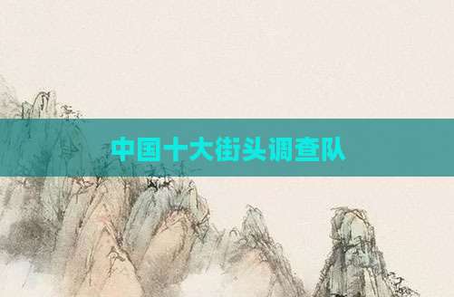 中国十大街头调查队