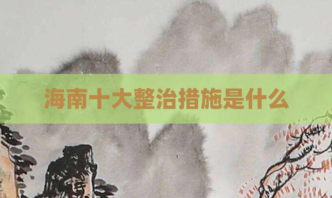 海南十大整治措施是什么
