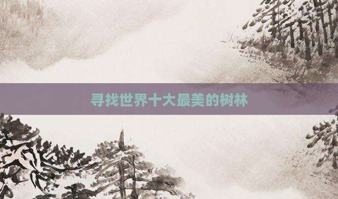 寻找世界十大最美的树林