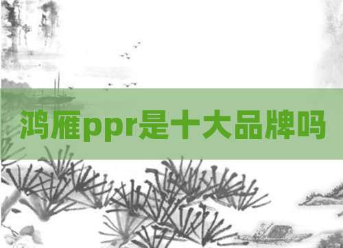 鸿雁ppr是十大品牌吗