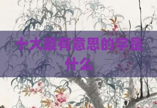 十大最有意思的字是什么